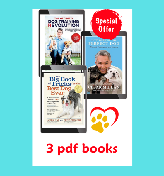 A fantastic collection consisting of three PDF books on dog training from birth